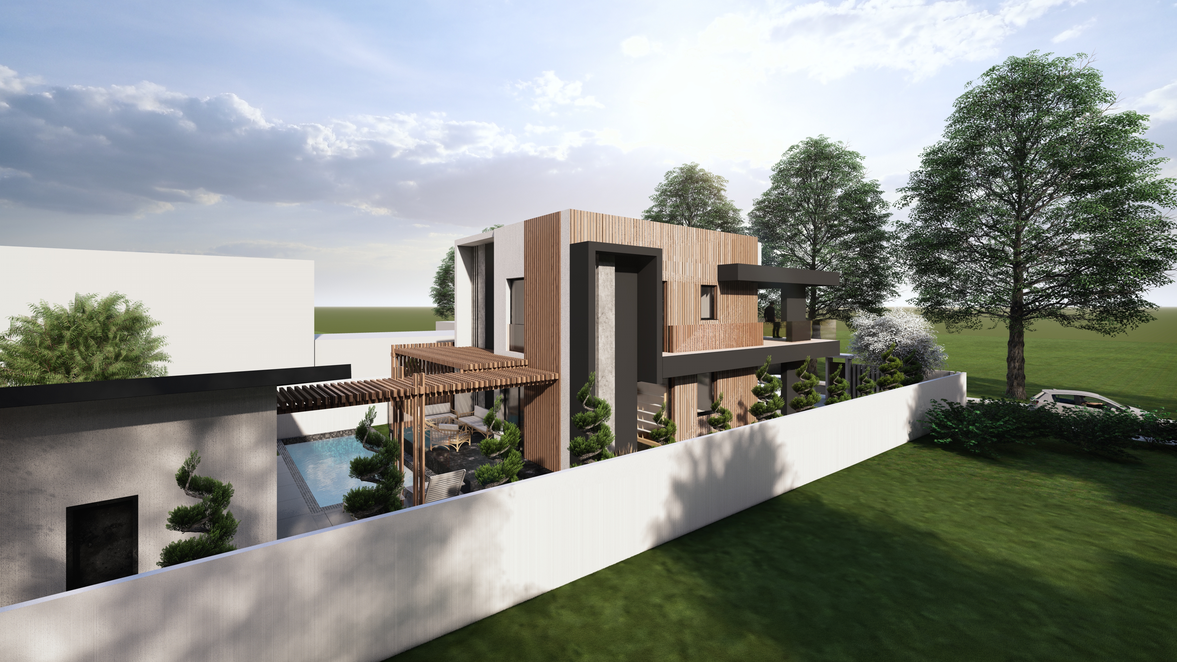 Casa P - Vedere completă din spate cu amenajarea